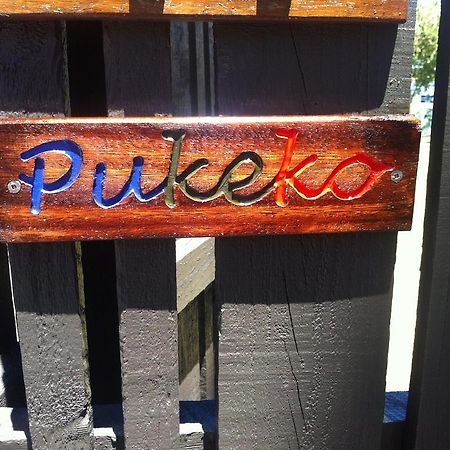 Pukeko On Bay Leilighet Tauranga Eksteriør bilde